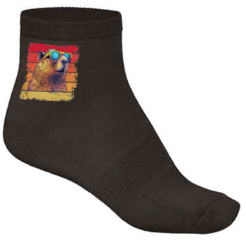 Kojinės su spauda „Kapibara“