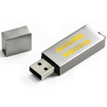 Metalinis USB raktas „Auksinis vadovas“ 16 GB